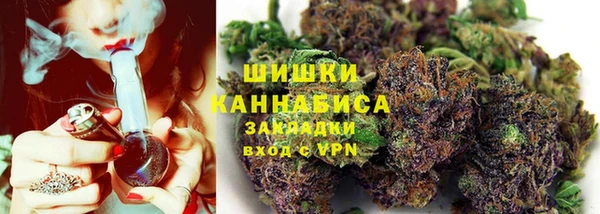 СК Богородск